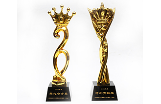 熱心會(huì )務(wù)獎